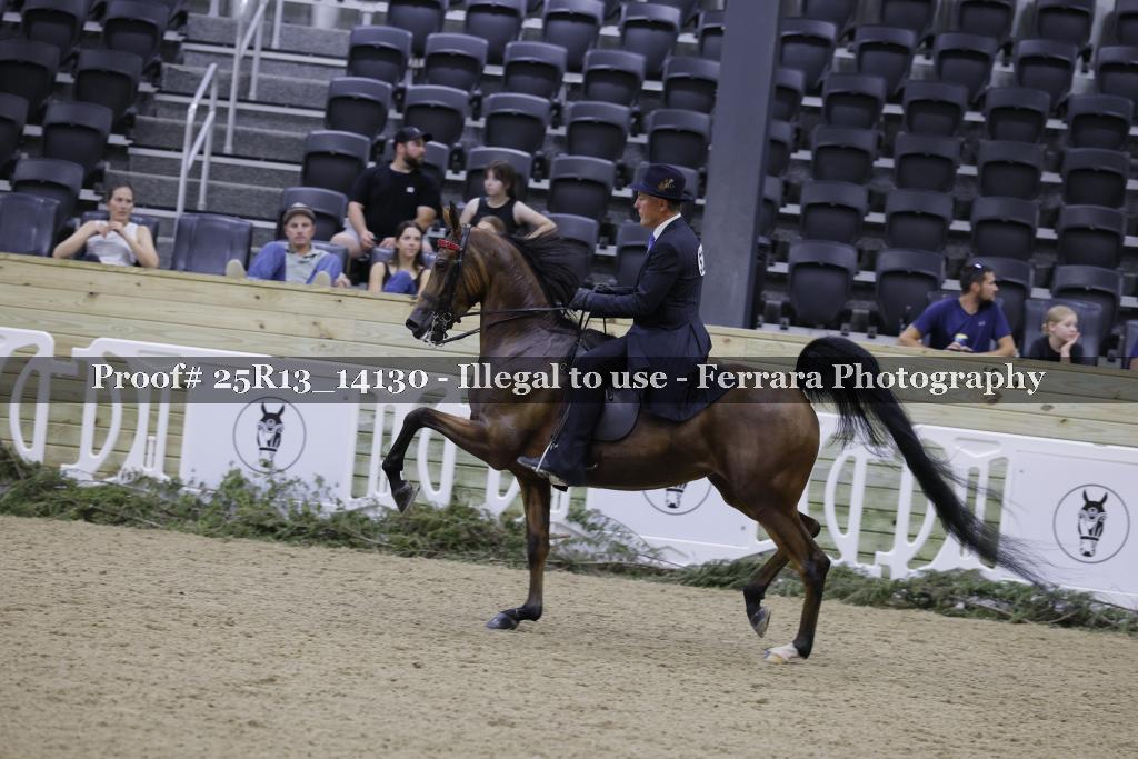 Proof 25R13_14130