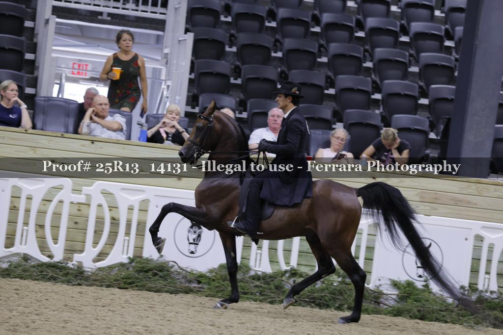 Proof 25R13_14131