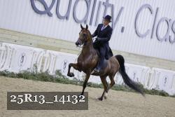 25R13_14132 proof