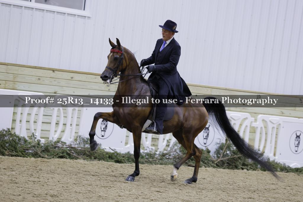 Proof 25R13_14133