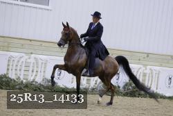 25R13_14133 proof