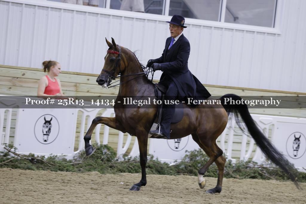 Proof 25R13_14134