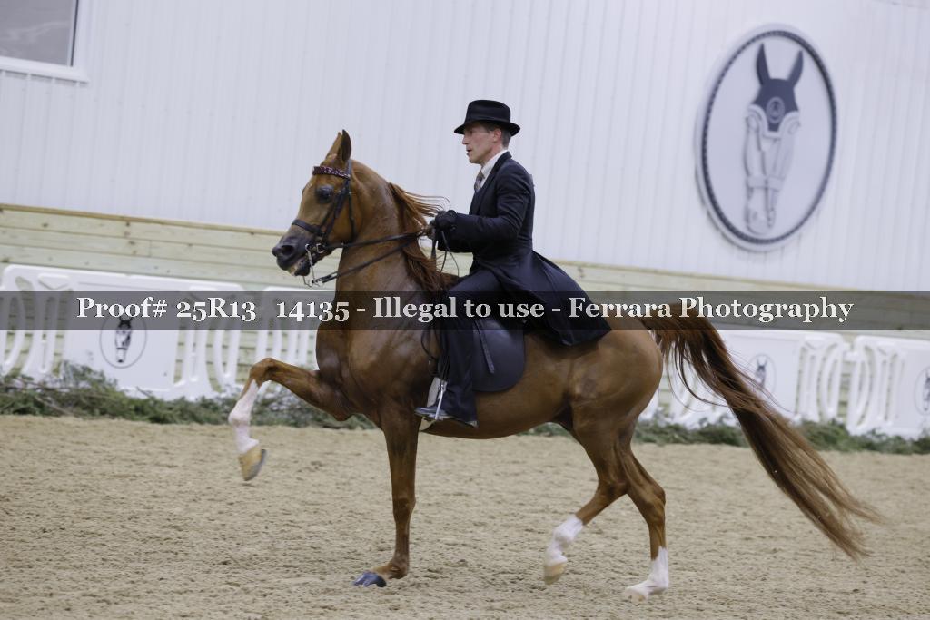 Proof 25R13_14135