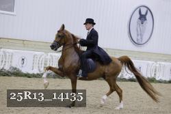 25R13_14135 proof
