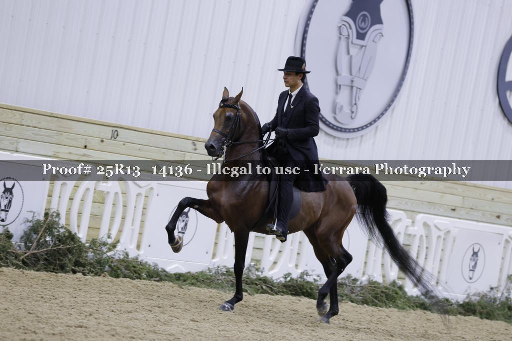 Proof 25R13_14136