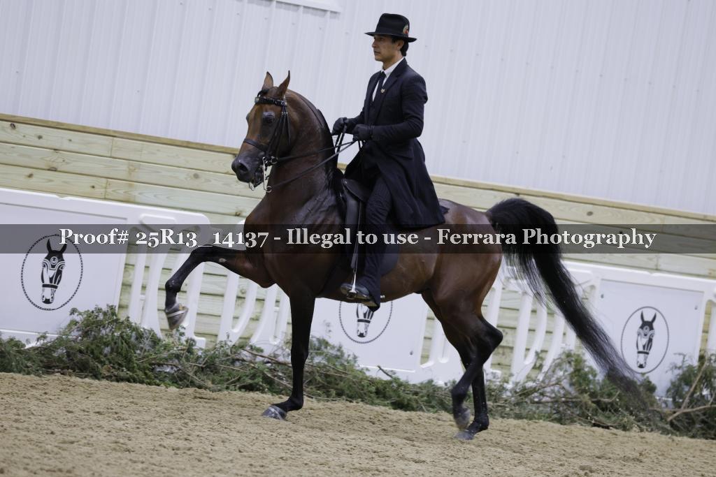 Proof 25R13_14137