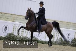 25R13_14137 proof