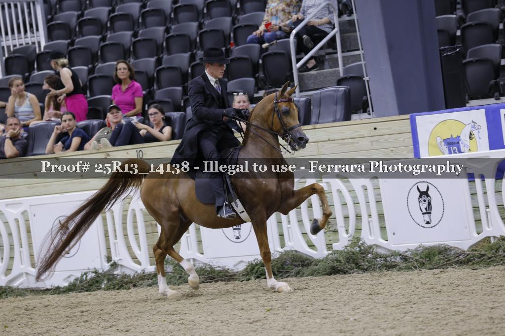 Proof 25R13_14138