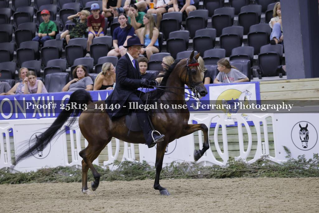 Proof 25R13_14140