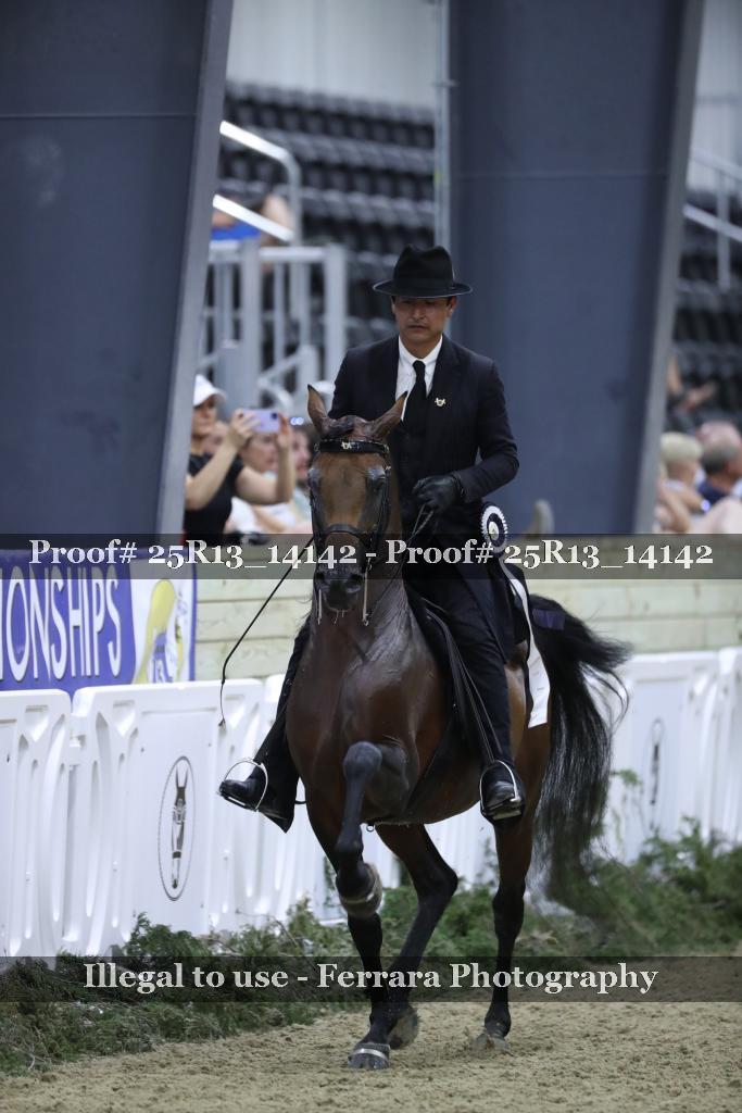 Proof 25R13_14142