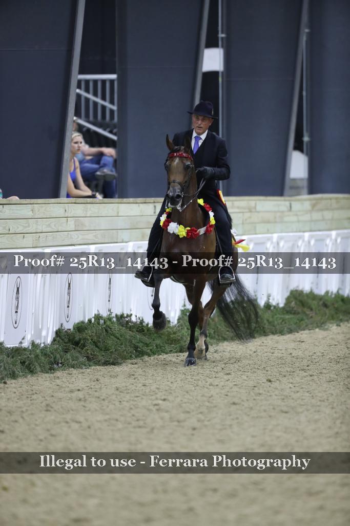 Proof 25R13_14143