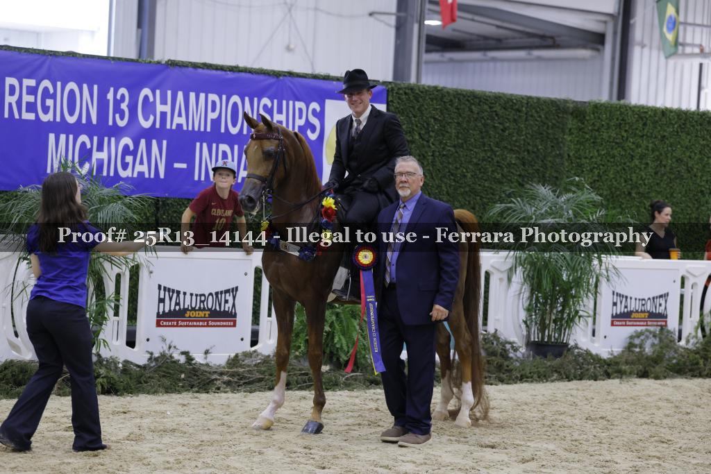 Proof 25R13_14144
