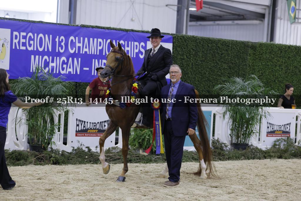Proof 25R13_14145