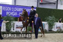 25R13_14145 proof