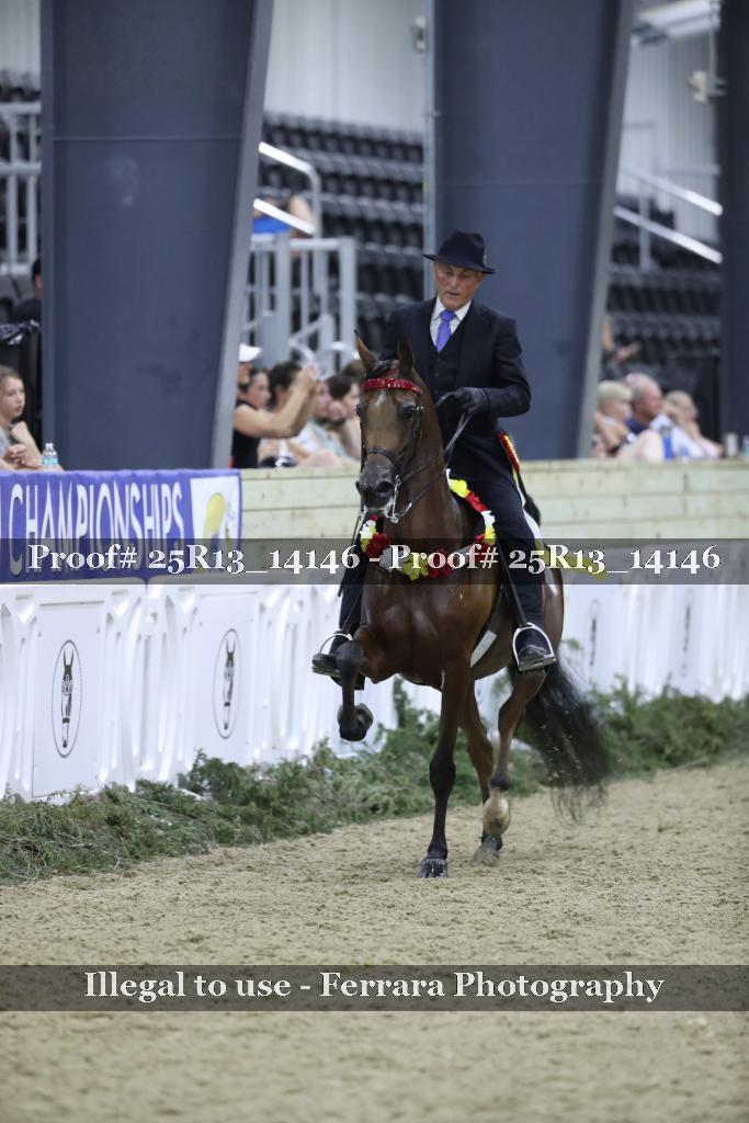 Proof 25R13_14146