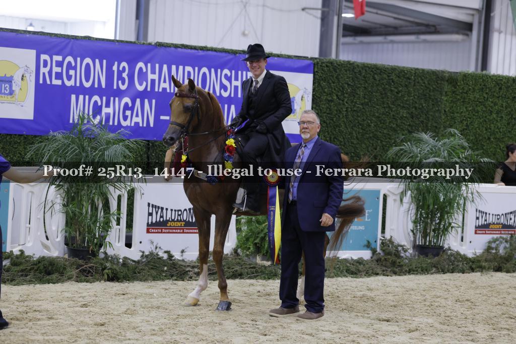 Proof 25R13_14147