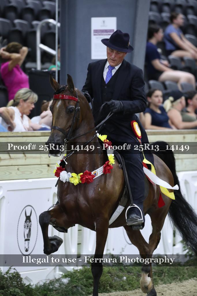 Proof 25R13_14149