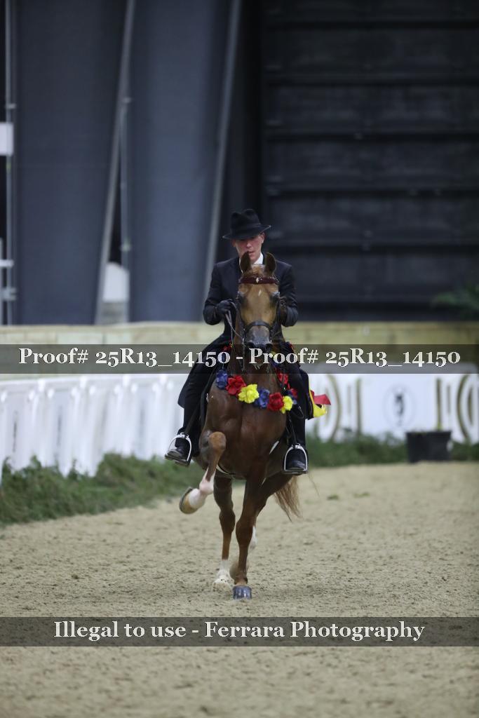 Proof 25R13_14150