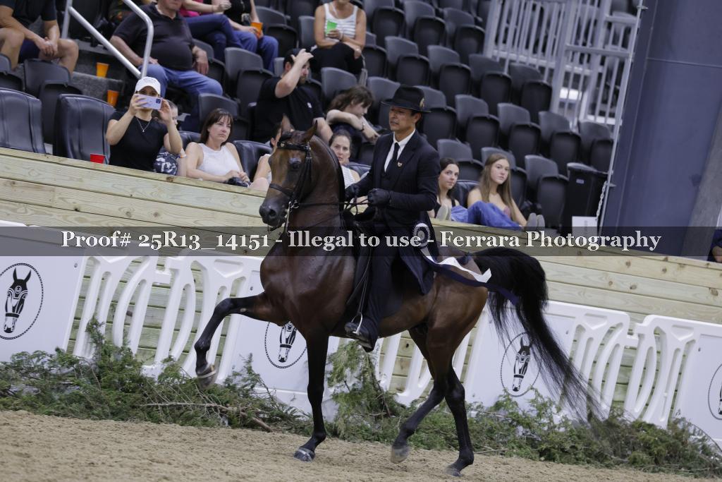 Proof 25R13_14151