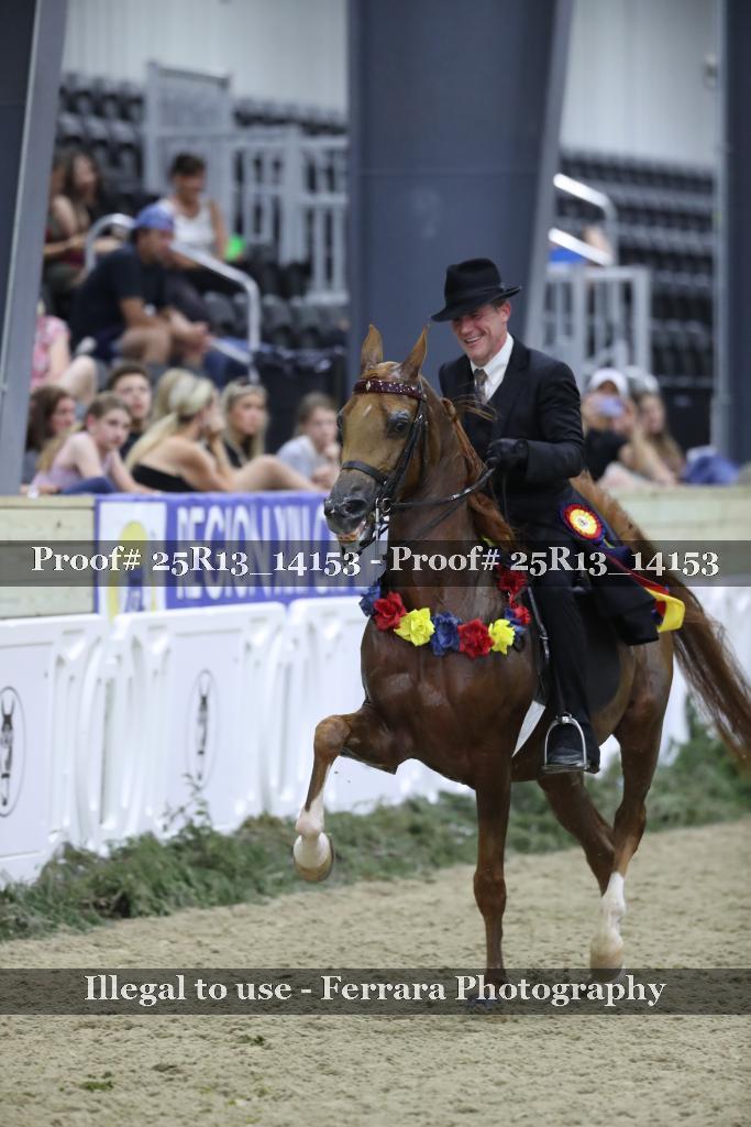 Proof 25R13_14153