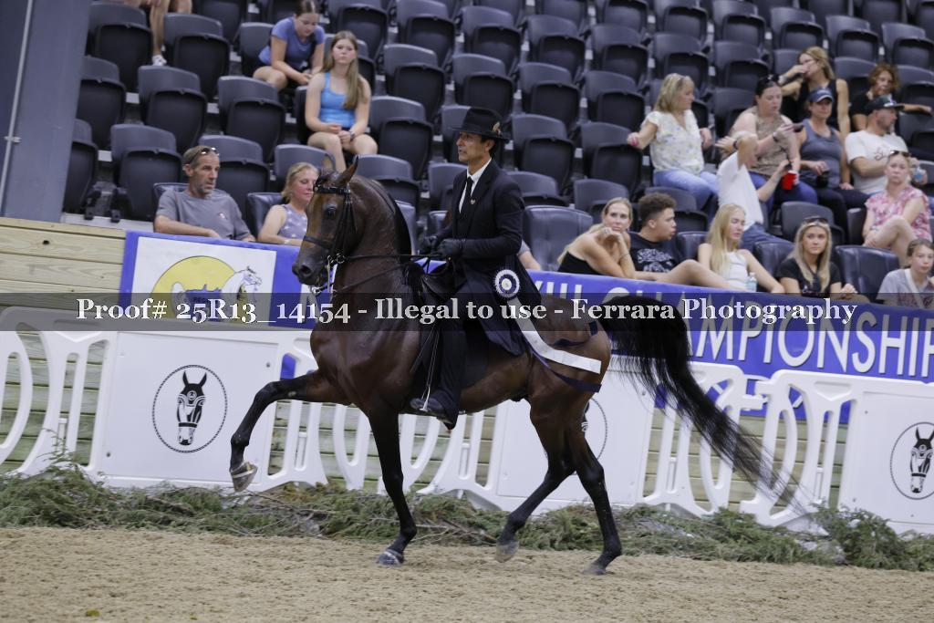 Proof 25R13_14154