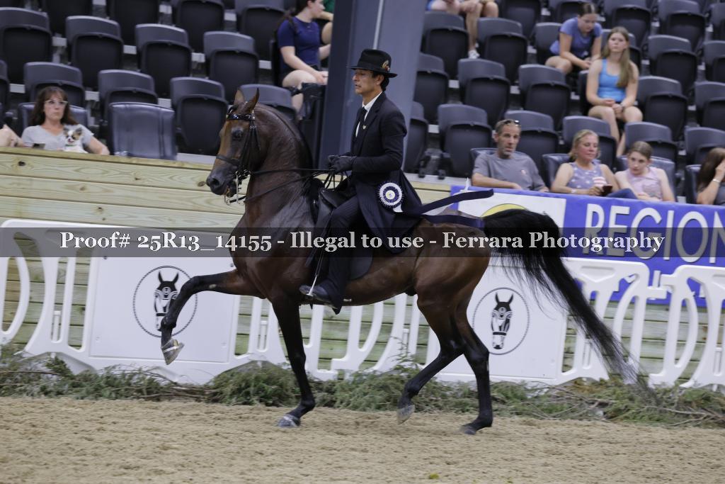 Proof 25R13_14155