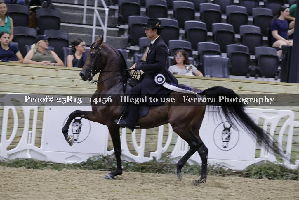 Proof 25R13_14156