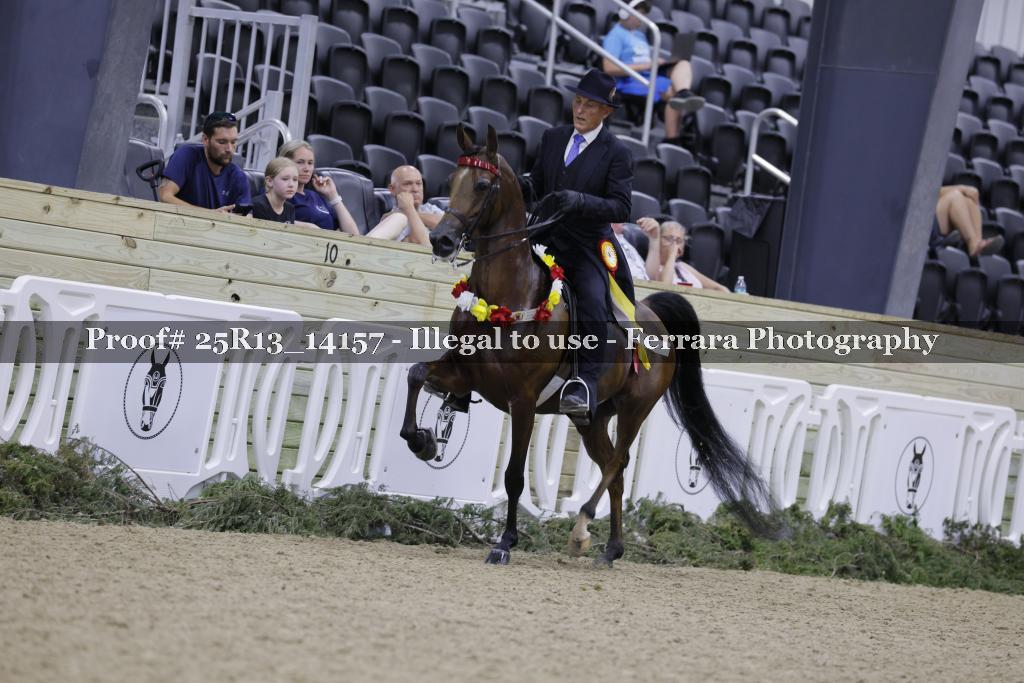 Proof 25R13_14157