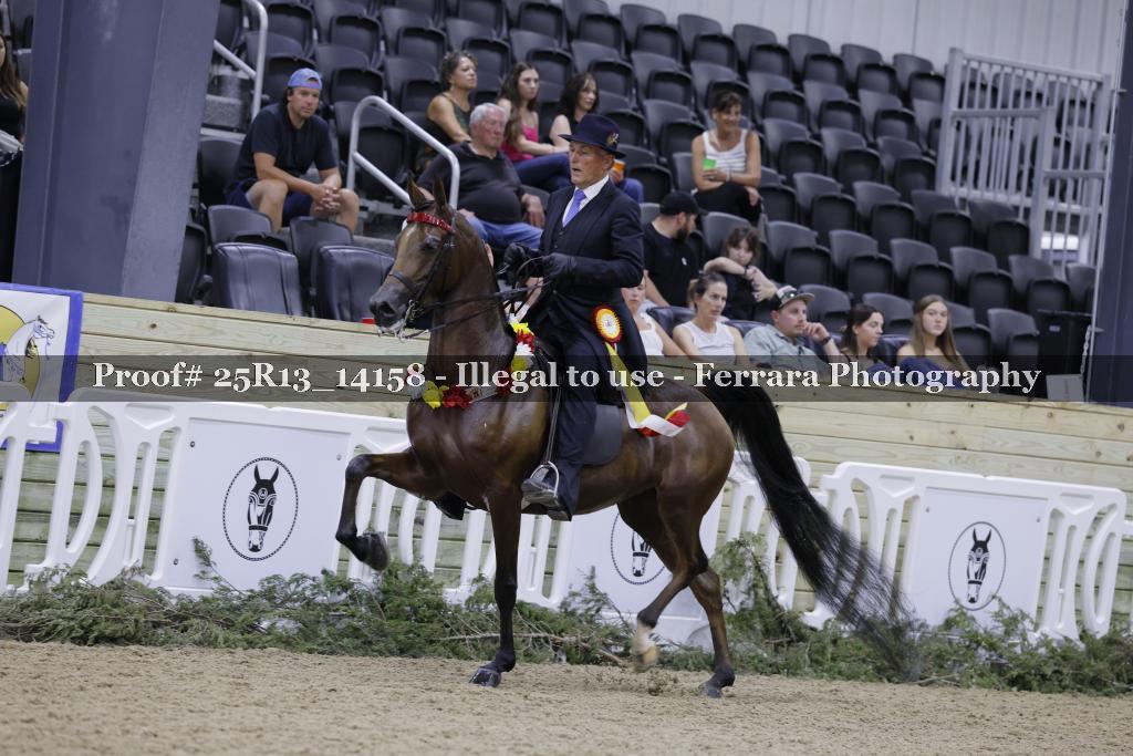 Proof 25R13_14158
