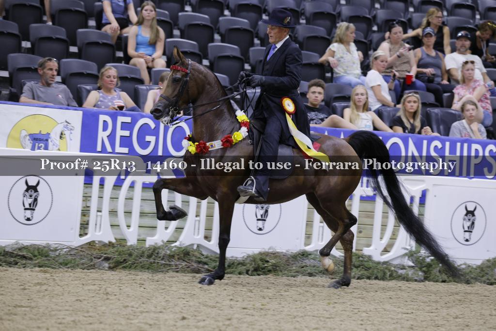 Proof 25R13_14160