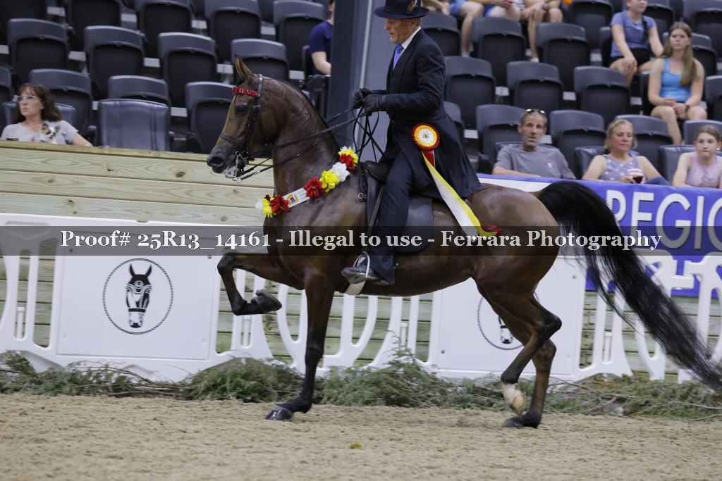 Proof 25R13_14161
