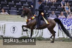 25R13_14161 proof