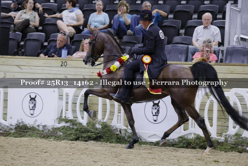 Proof 25R13_14162