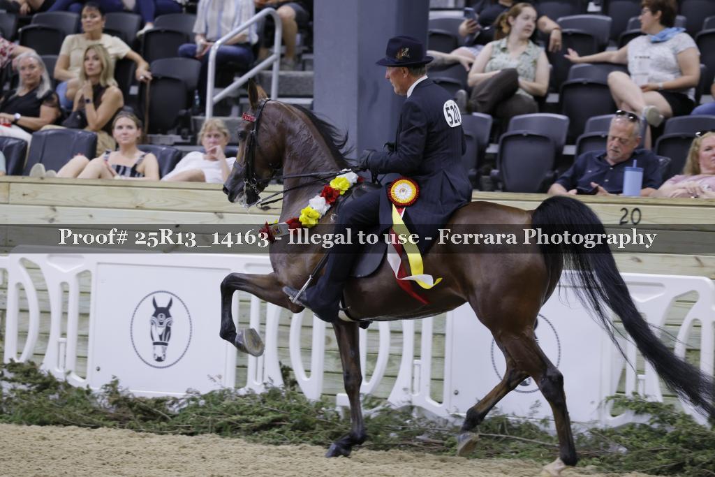 Proof 25R13_14163