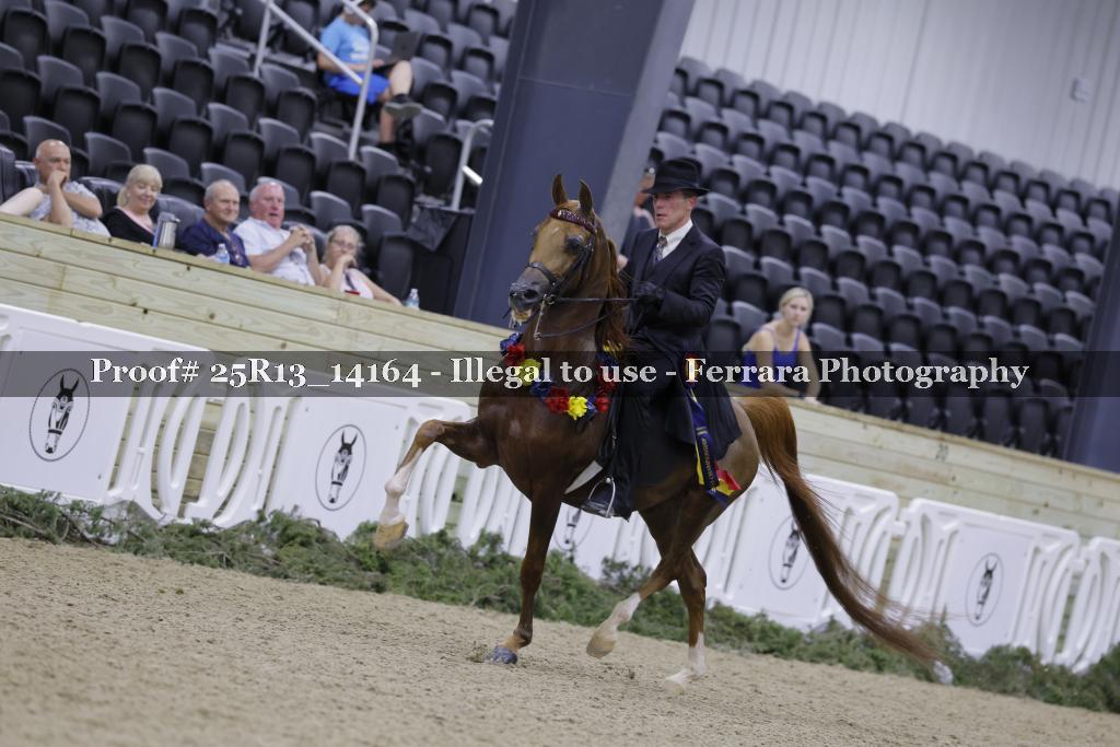 Proof 25R13_14164
