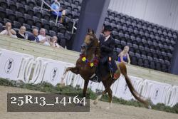 25R13_14164 proof