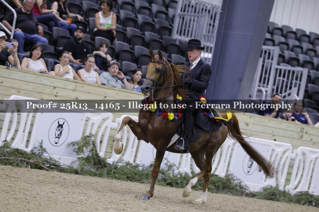 Proof 25R13_14165