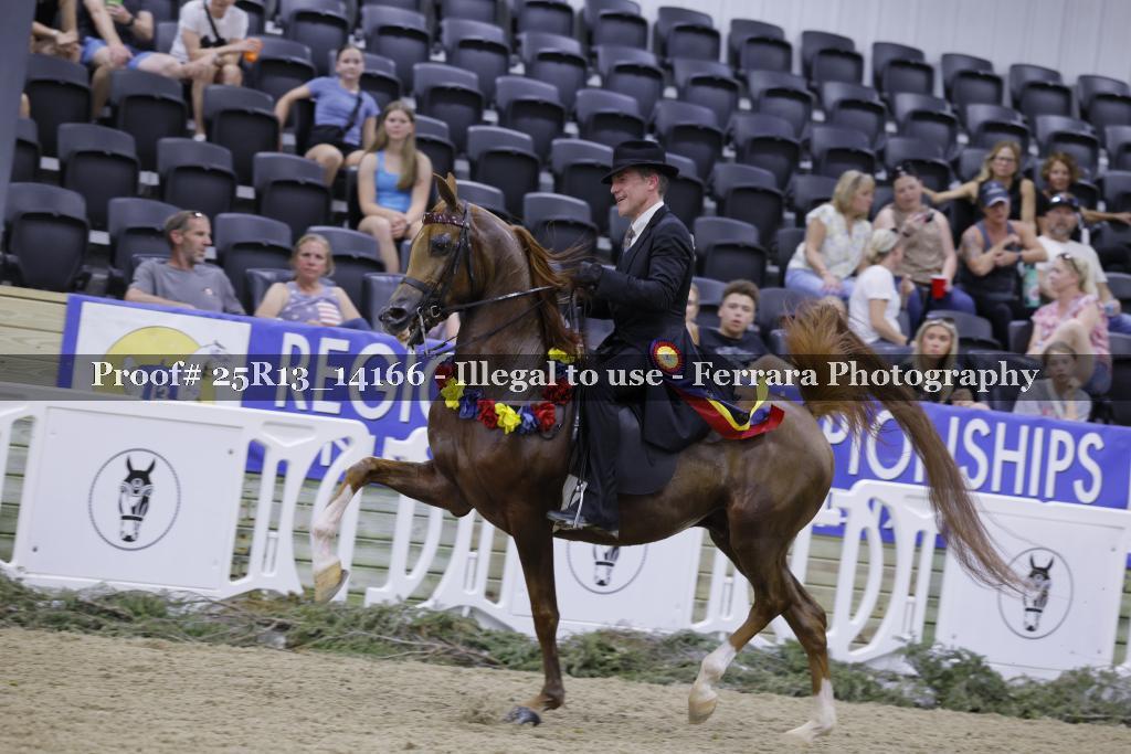 Proof 25R13_14166