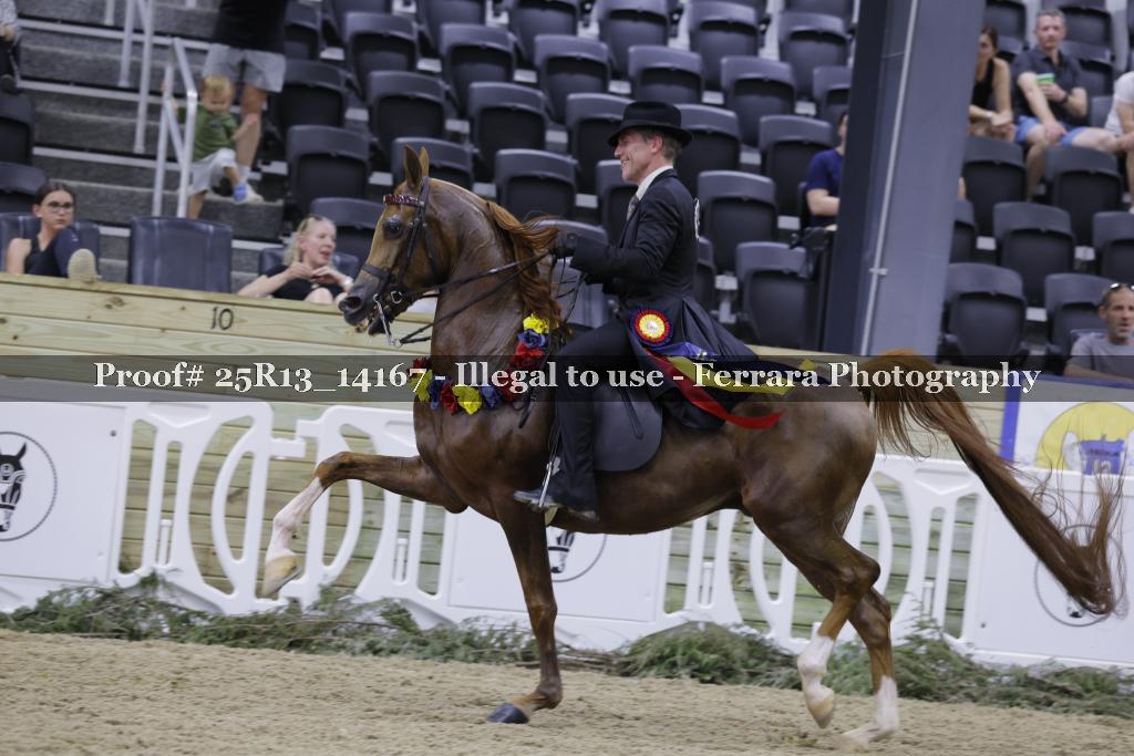 Proof 25R13_14167