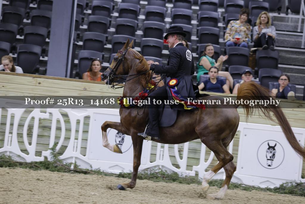 Proof 25R13_14168