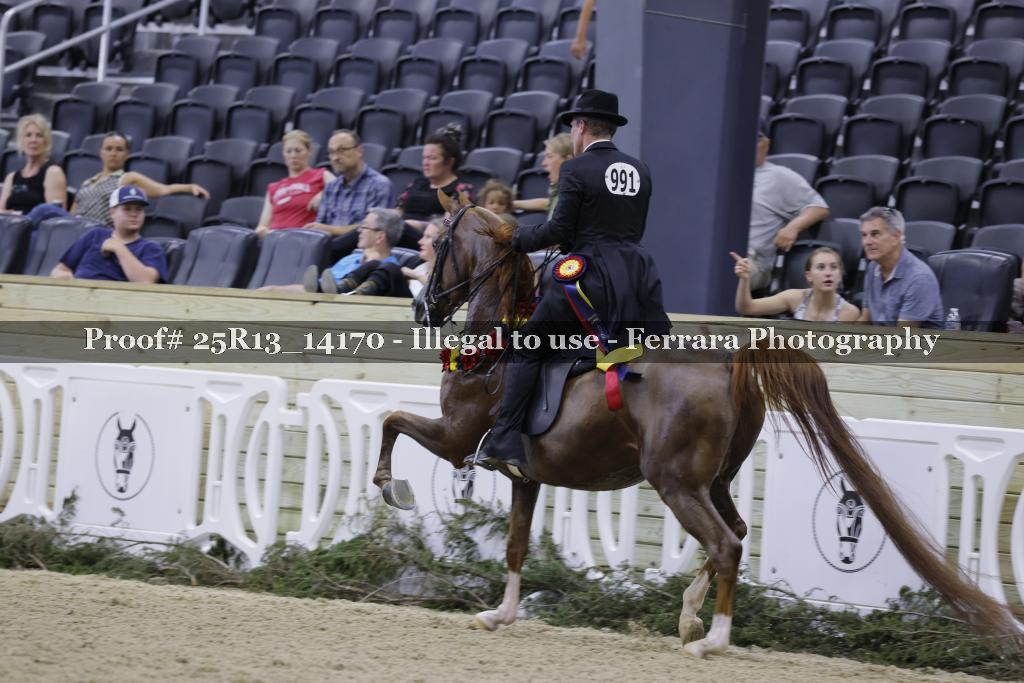 Proof 25R13_14170