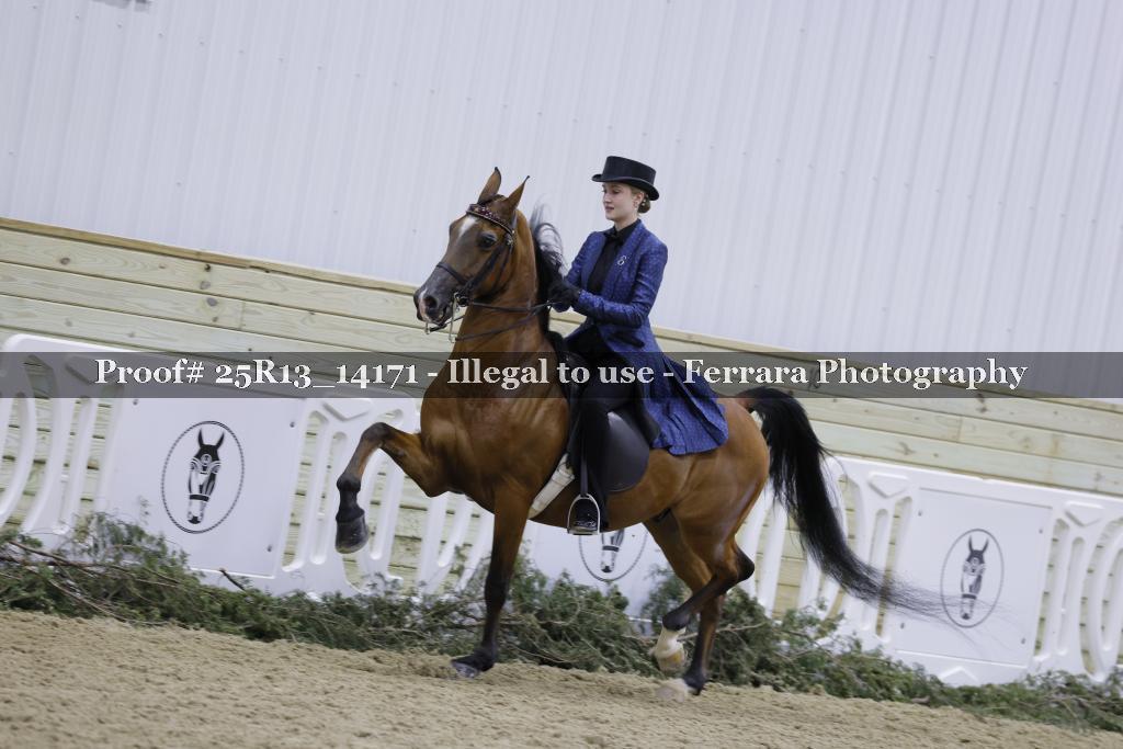Proof 25R13_14171