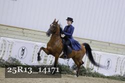25R13_14171 proof