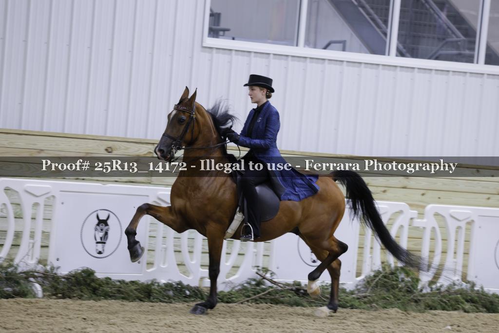 Proof 25R13_14172