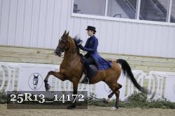 25R13_14172 proof