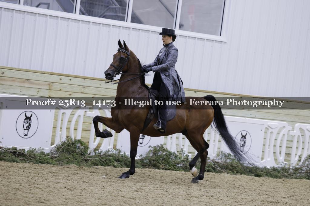 Proof 25R13_14173