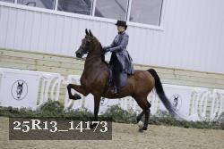 25R13_14173 proof
