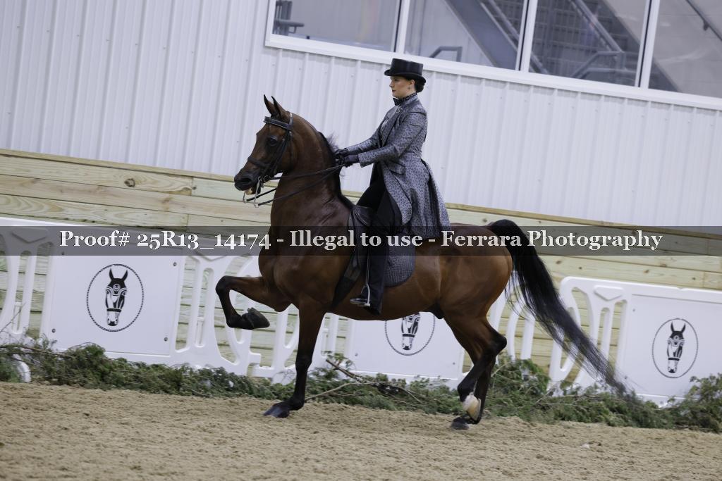 Proof 25R13_14174