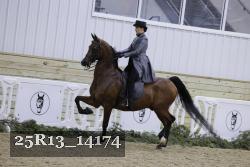 25R13_14174 proof