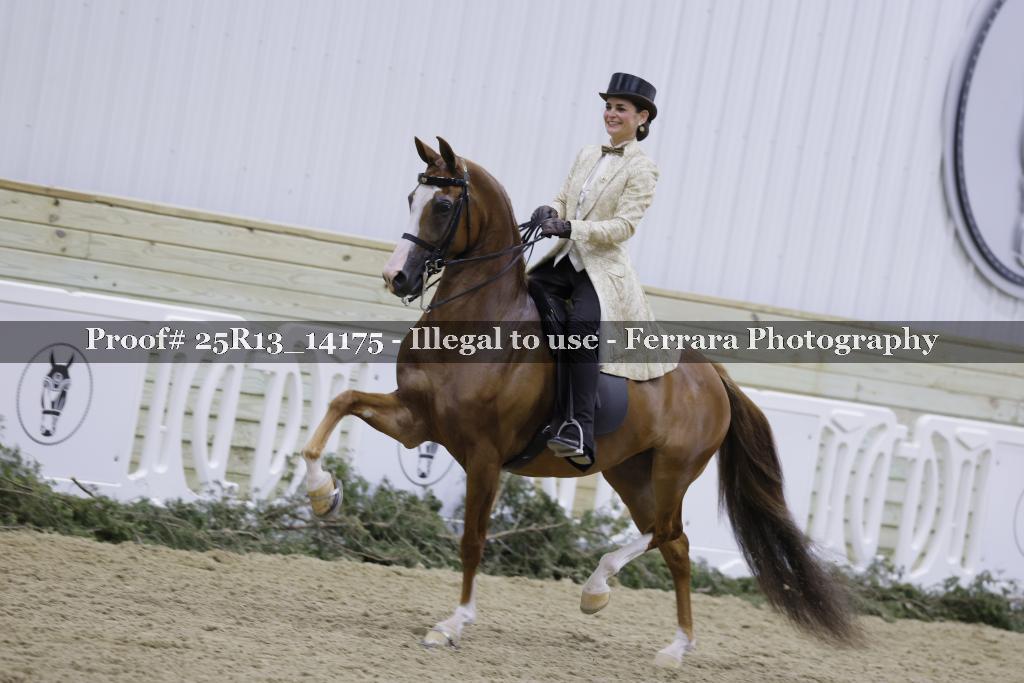 Proof 25R13_14175